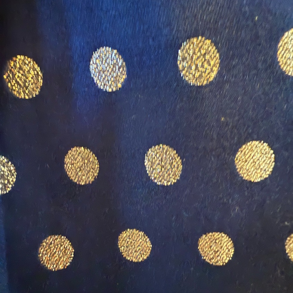 J.Crew Factory | Blue Polka Dot Dress NWT - Picture 5 of 5